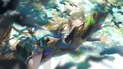 原神人物绮良良壁纸，趴在树上，抱着大树的绮良良<strong>可爱</strong>小清新桌面壁纸图片